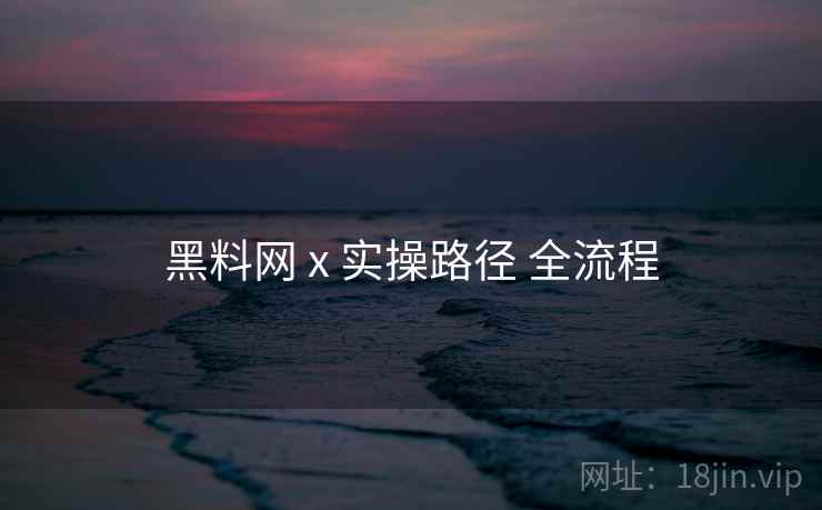 黑料网 x 实操路径 全流程  第1张