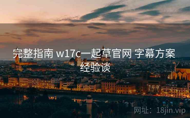 完整指南 w17c一起草官网 字幕方案 经验谈  第1张