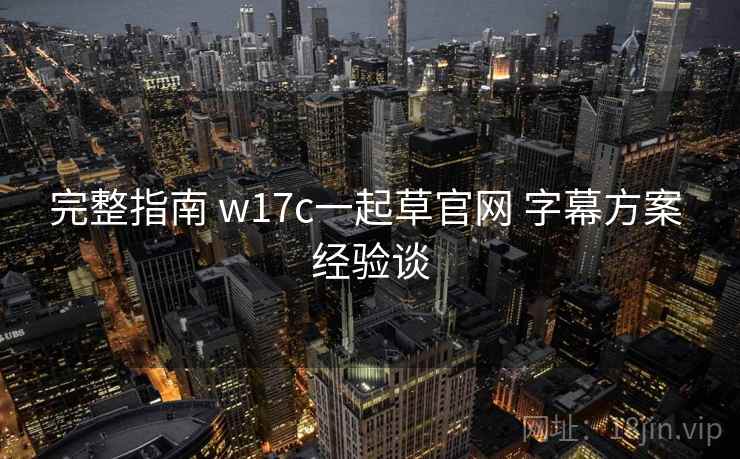 完整指南 w17c一起草官网 字幕方案 经验谈  第2张