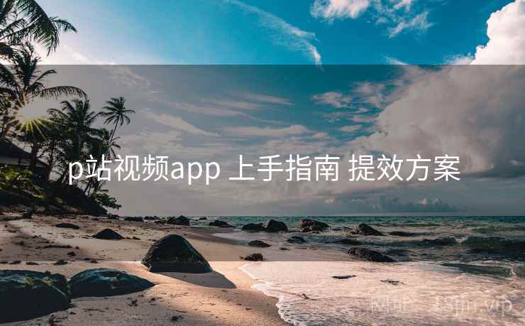 p站视频app 上手指南 提效方案 第1张 p站视频app 上手指南 提效方案 第1张